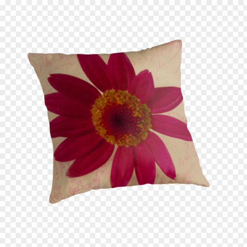 Pillow Throw Pillows Cushion Magenta Transvaal Daisy PNG