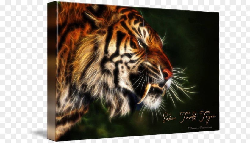 Sabertoothed Tiger Felidae Art Imagekind Whiskers PNG