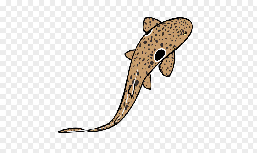 Shark Epaulette Drawing Clip Art PNG
