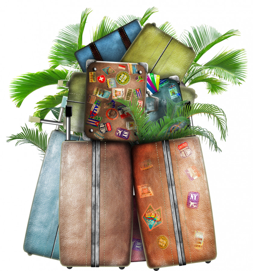 Travel Agent Vacation Hotel Suitcase PNG