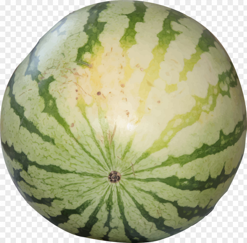 Watermelon Fruit Citrullus Lanatus Muskmelon PNG