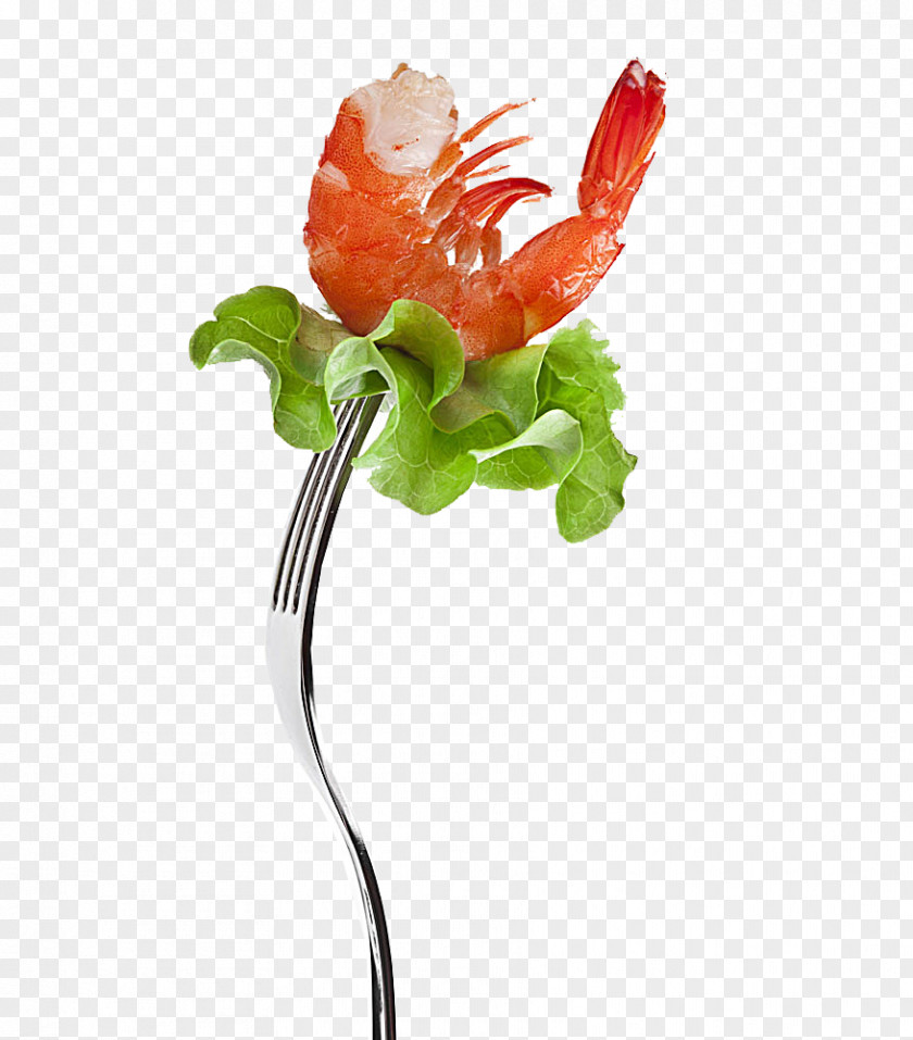 Gourmet Lobster Seafood Ingredient Recipe PNG