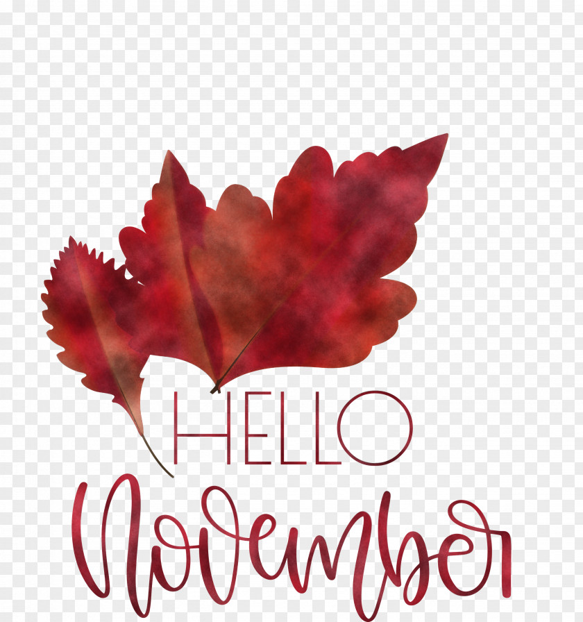 Hello November November PNG