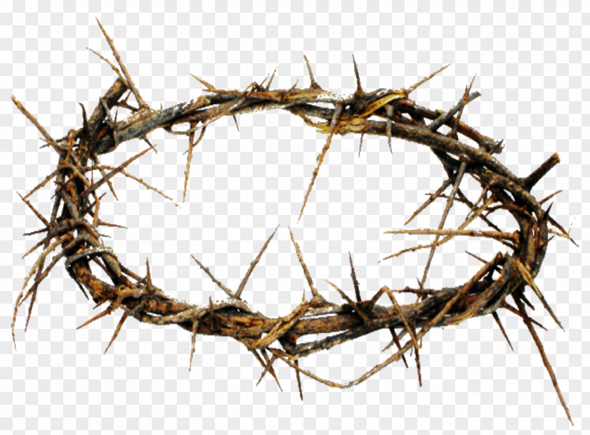 Jesus Easter Crown Of Thorns Thorns, Spines, And Prickles Christianity Crucifixion PNG