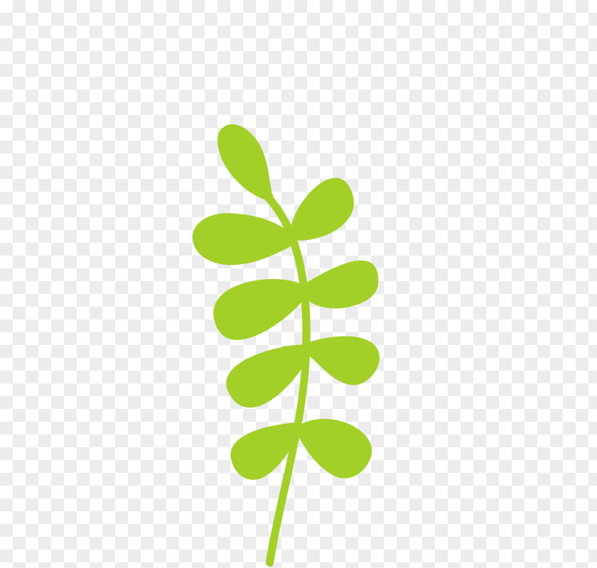 Leaves Leaf Green PNG