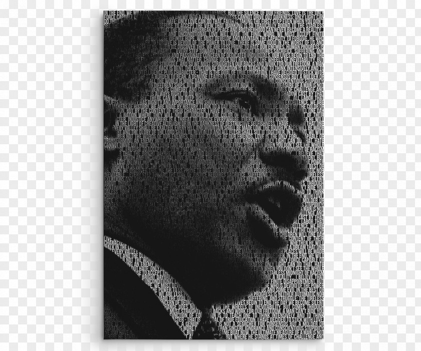 Martin Luther King Jr Canvas Print Art United States PNG