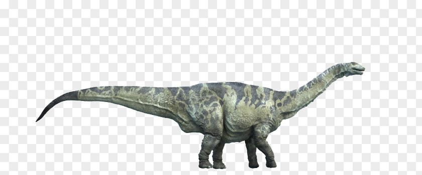 Dinosaur Size Argentinosaurus Titanosaurus Utahraptor Tarbosaurus PNG