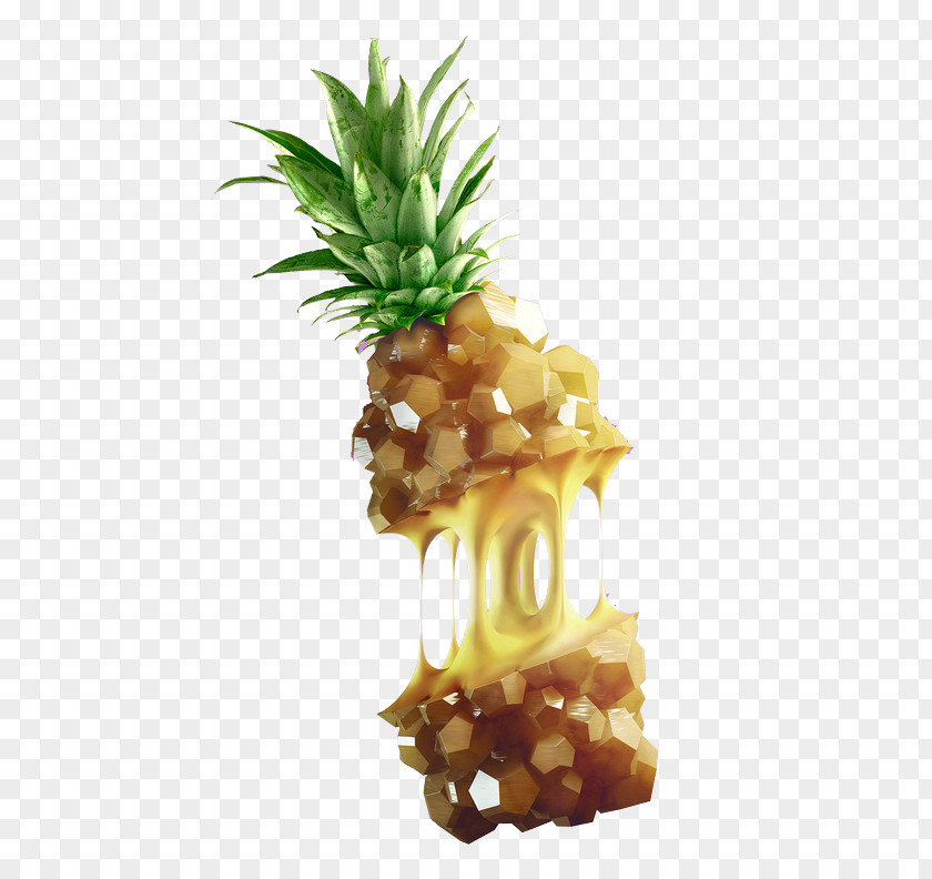 Drawing Pineapple PNG