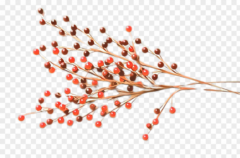 Flower Branch Red Pink Peppercorn Plant Tree PNG