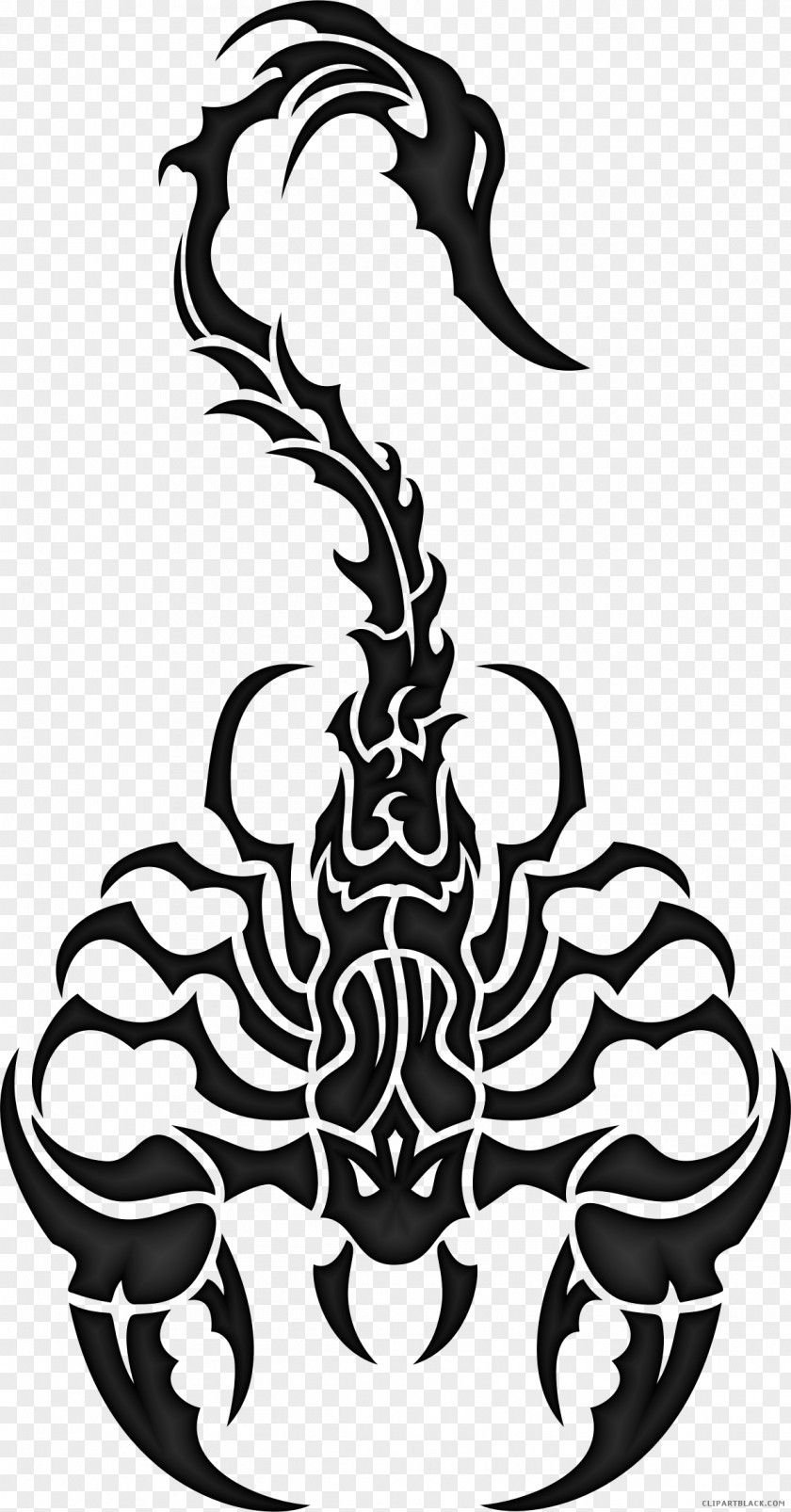 Scorpion Vector Graphics Clip Art Image PNG