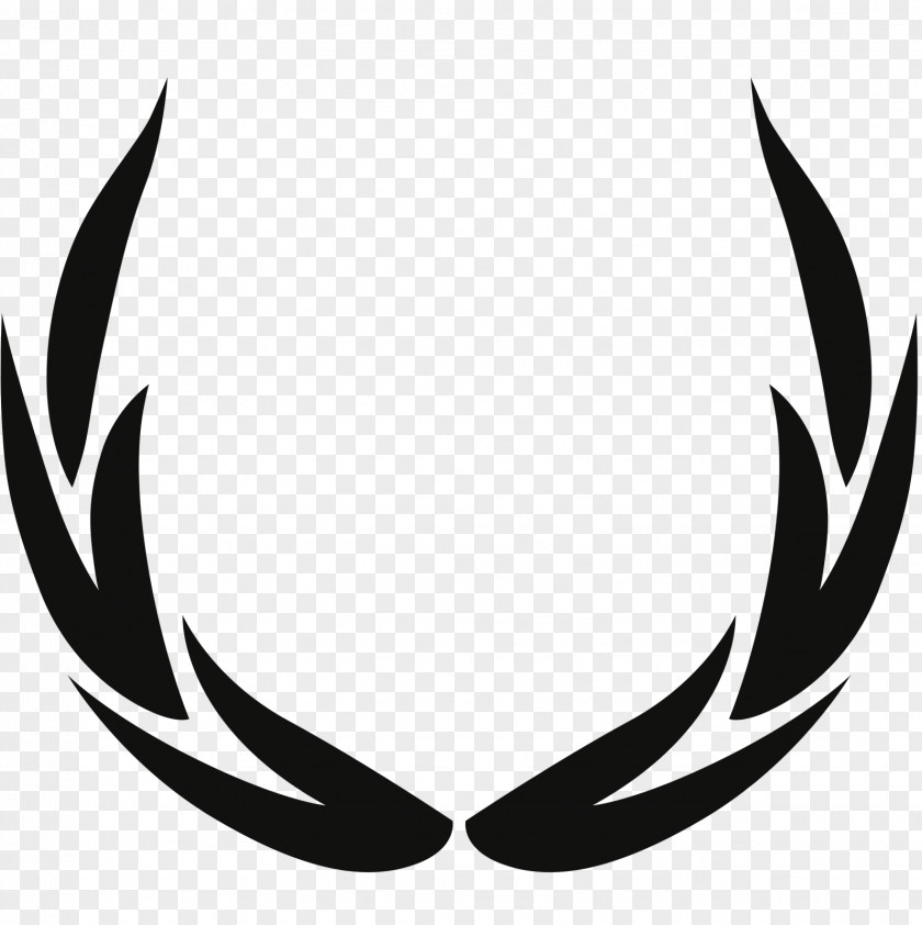 Laurel Wreath Bay Clip Art PNG