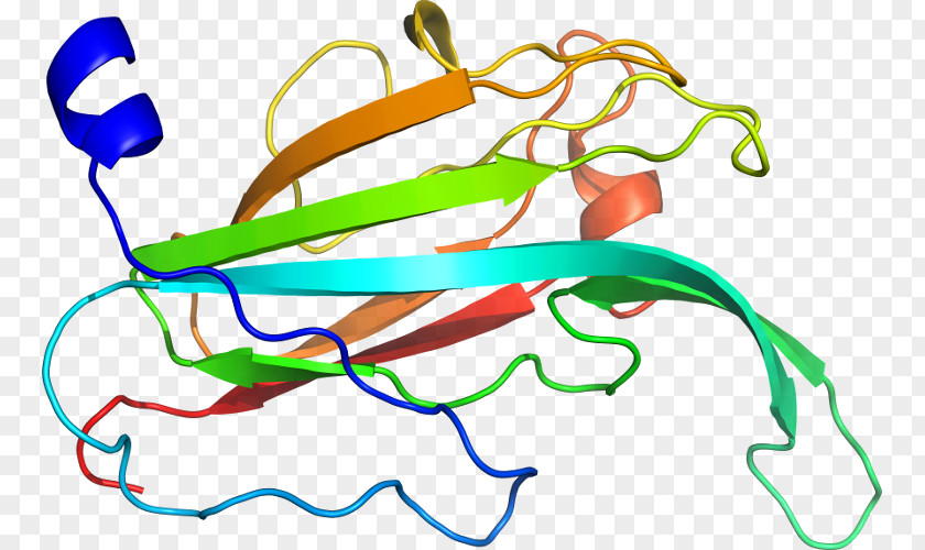 Line Point Organism Clip Art PNG