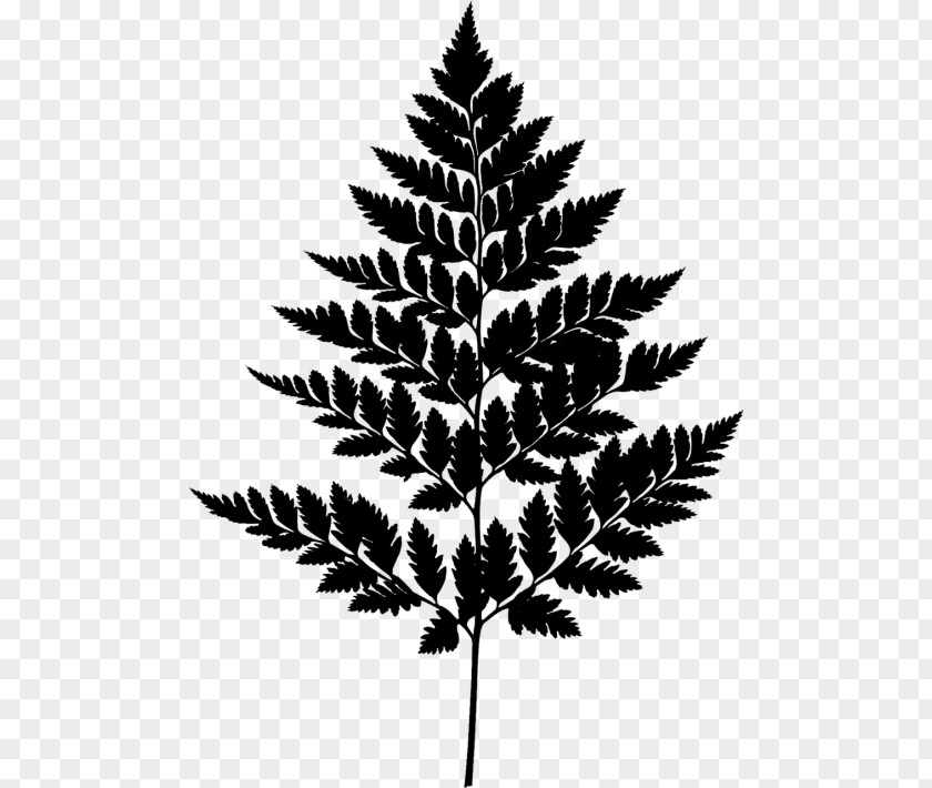 M Leaf Black & White PNG