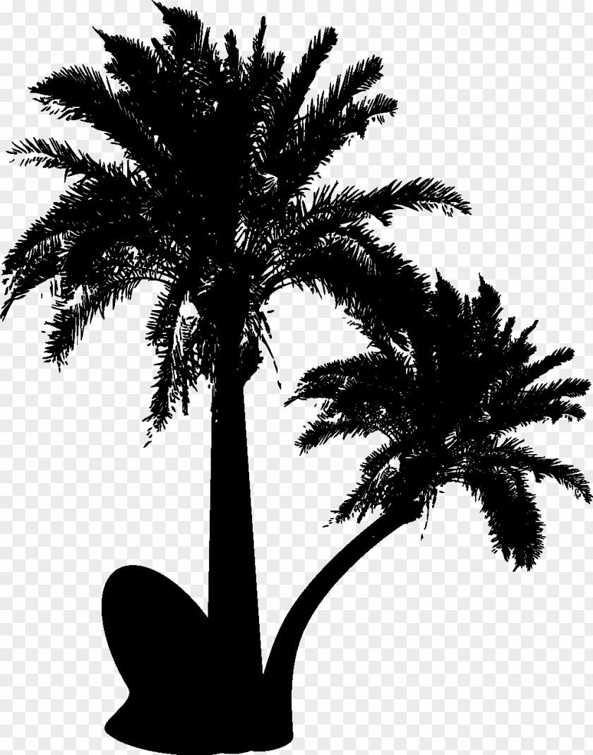 Palm Tree Silhouette Icons Vector Graphics Trees Clip Art Design PNG