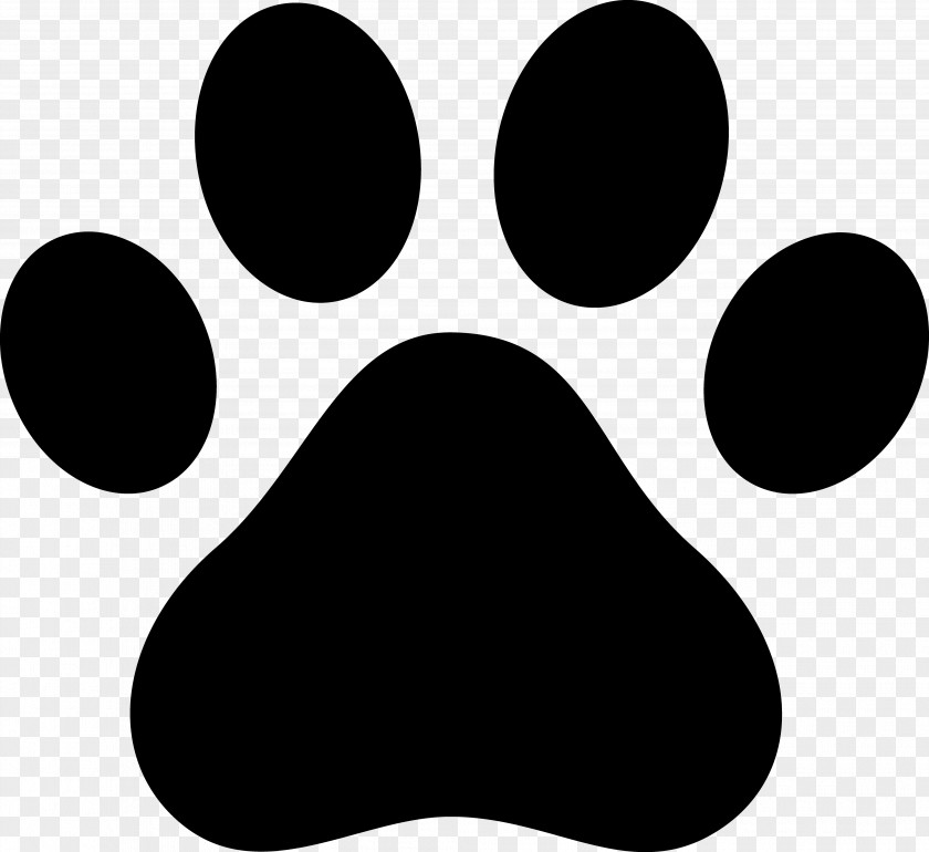 Paw Print Dog Cat Decal Clip Art PNG