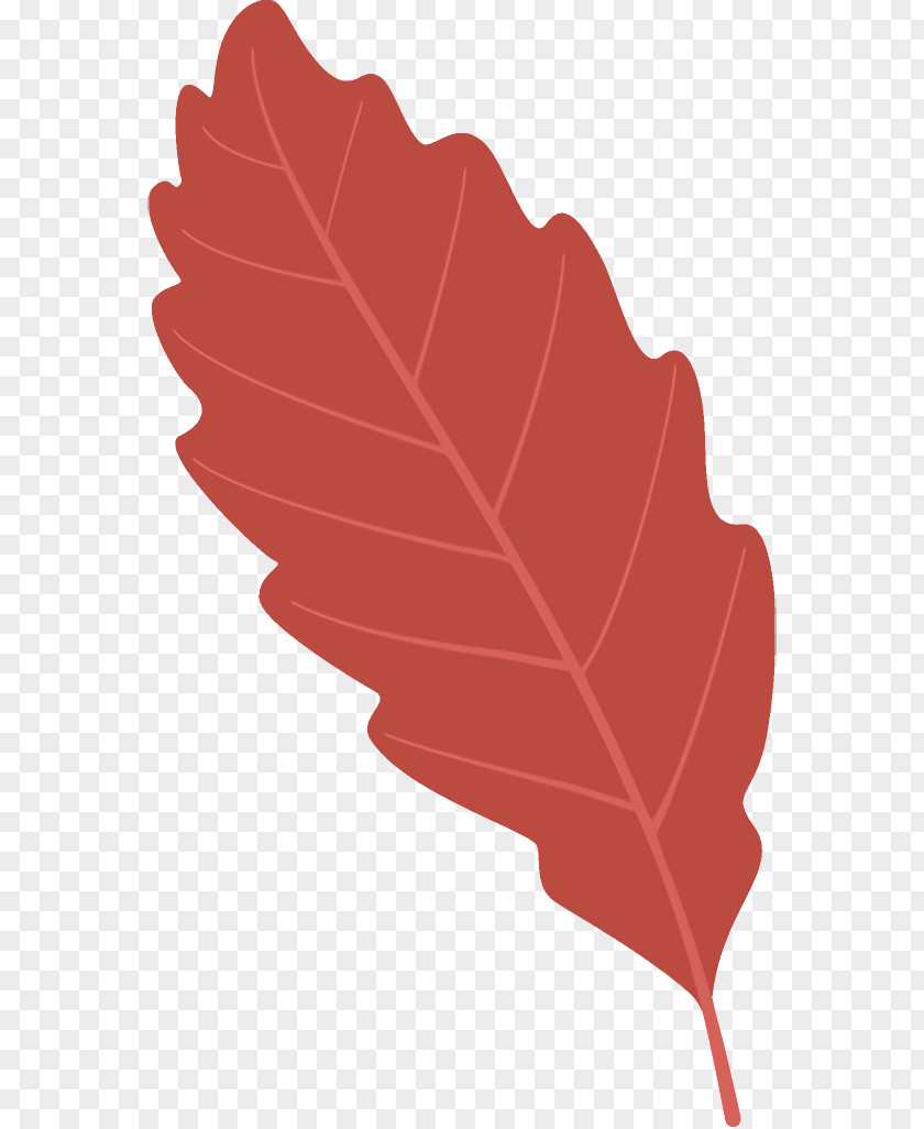 Plane Flower Autumn Leaf Fallen Dead PNG