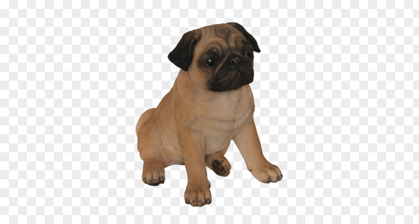 Puppy Pug Beagle Shih Tzu Boston Terrier Boxer PNG