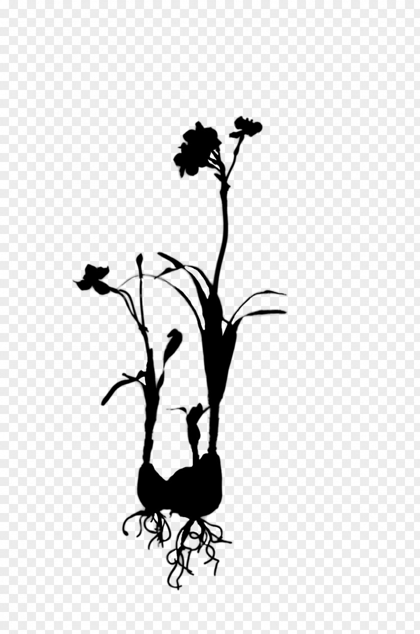 Twig Plant Stem Illustration Flower Clip Art PNG