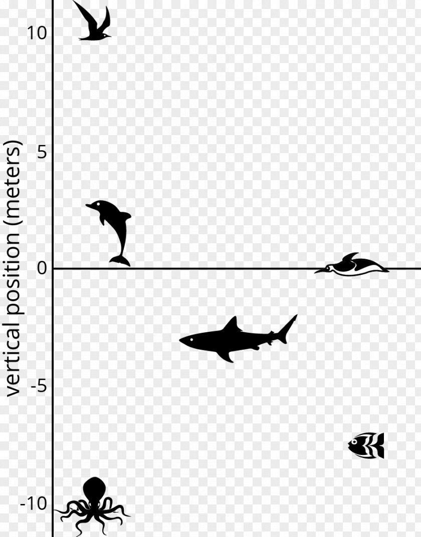 Under Sea Number Line Subtraction Addition PNG