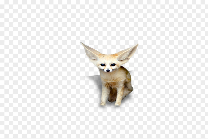 Fox, Animal Red Fox PNG