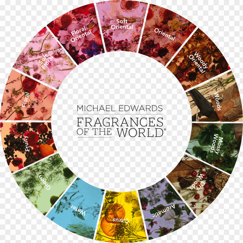 Incense Fragrances Of The World Fragrance Wheel Perfume Aroma Compound Olfaction PNG