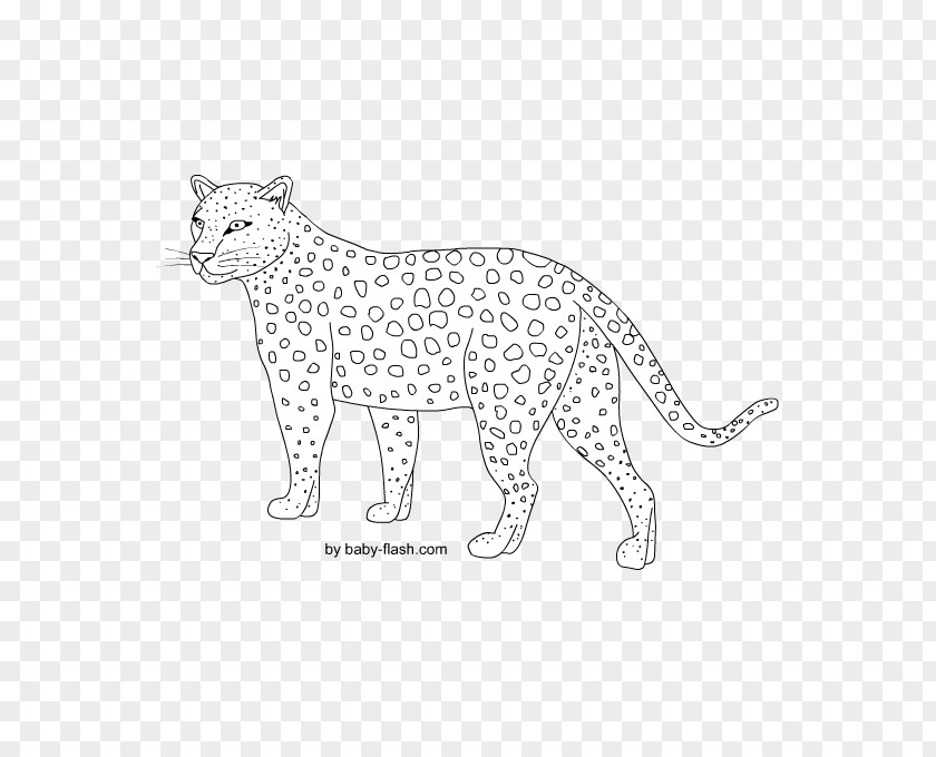 Leopard Cheetah Lion Whiskers Cat PNG