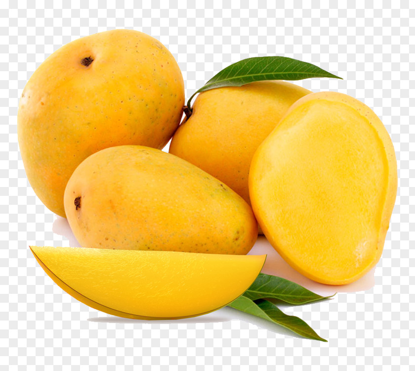 Mango Mangifera Indica Alphonso Devgad Taluka Food PNG