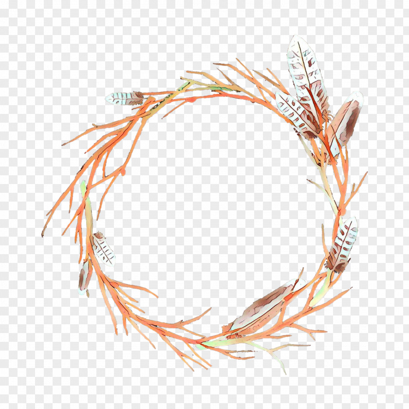 Plant Feather Orange PNG