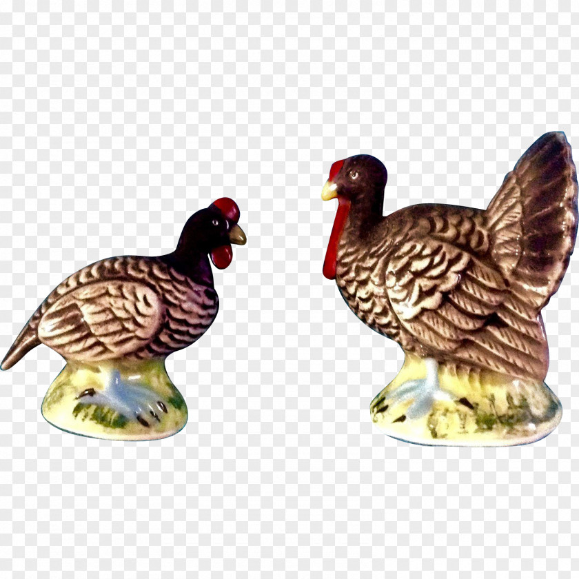 Turkey Bird Chicken Galliformes Fowl Poultry PNG