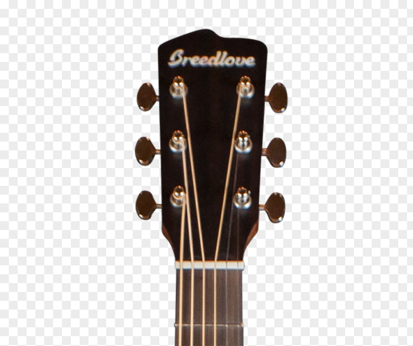 Acoustic Guitar Dreadnought Acoustic-electric PNG