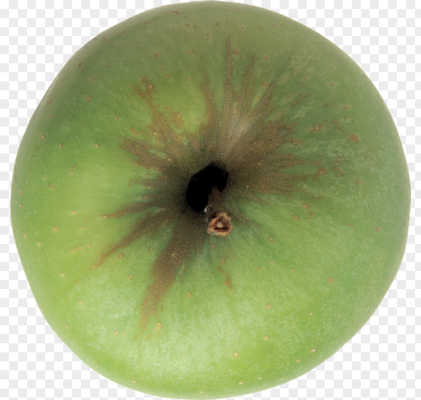 Apple Granny Smith Blog PhotoScape Clip Art PNG