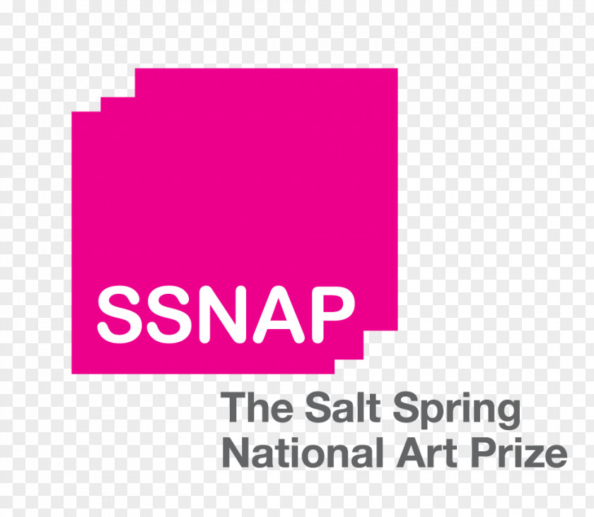 Award The Salt Spring National Art Prize Artist Juried Visual Arts PNG
