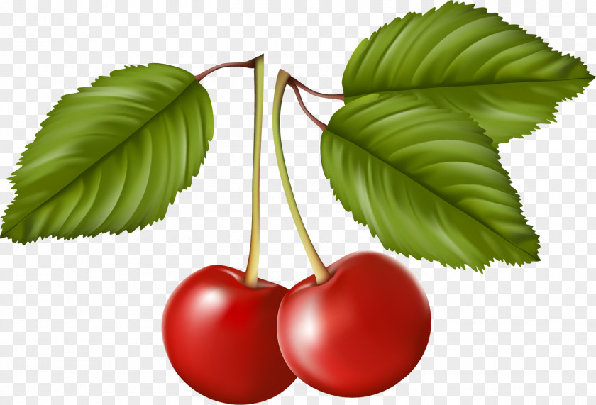 Cherry Berry Fruit Food PNG