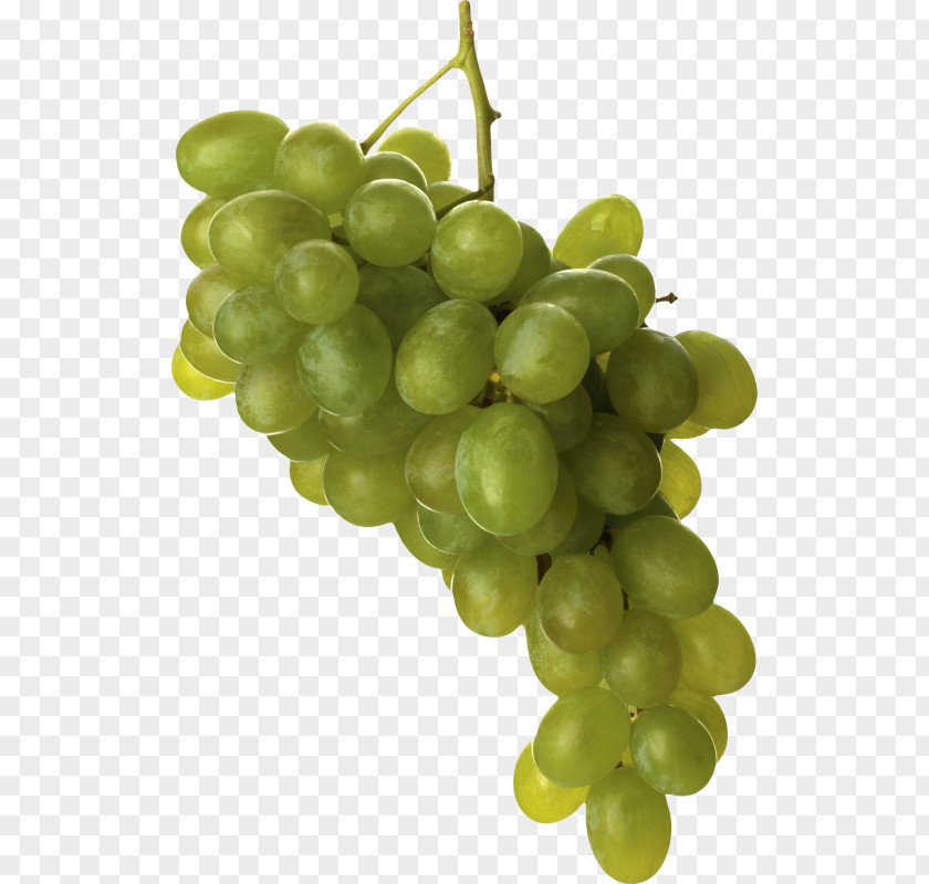 Grape Common Vine Wine PNG