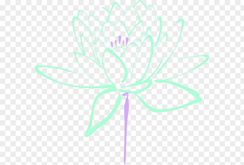 Mint Flowers Egyptian Lotus Flower Nelumbo Nucifera Clip Art PNG