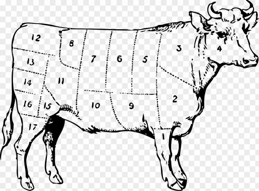 Ox Cattle Clip Art PNG