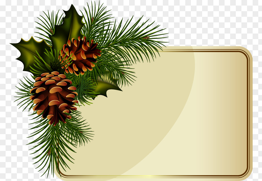 Pine Cone Border Wreath Christmas New Year Clip Art PNG