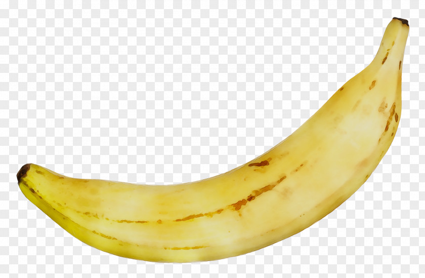 Cooking Banana Fruit Food Vegetable PNG