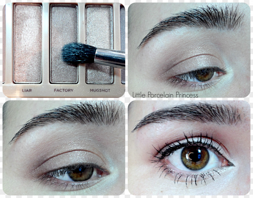 Crease Eyelash Extensions Eye Liner Shadow Mascara PNG