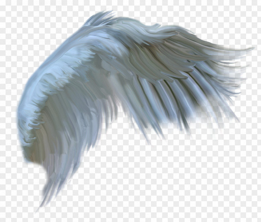 Drawing Angel DeviantArt Digital Art Flight Feather PNG