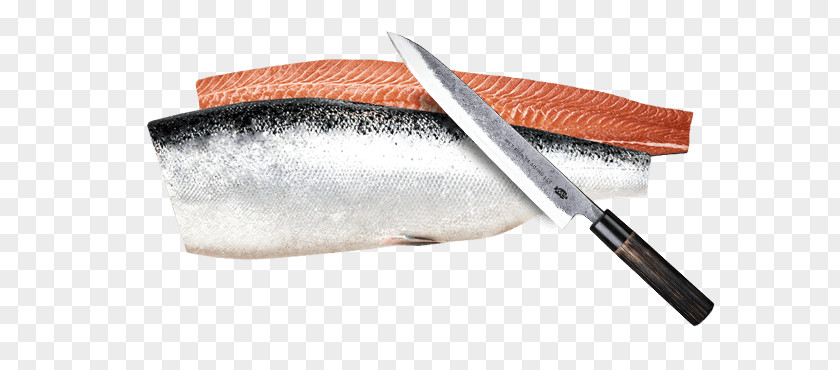 Fish Market Mackerel Seafood Pelagic PNG