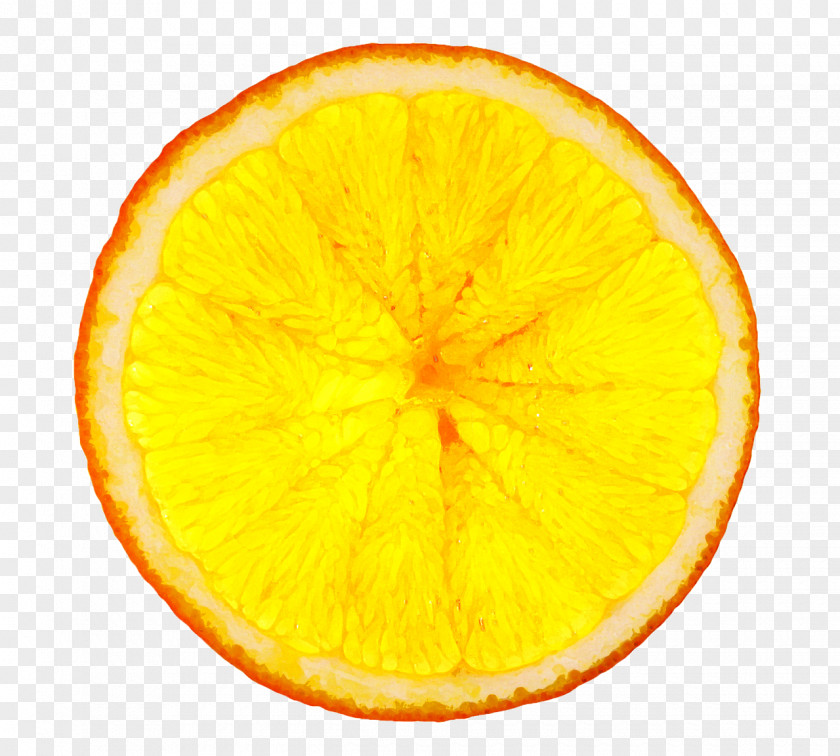 Grapefruit Orange Juice Tequila Sunrise Vegetarian Cuisine PNG