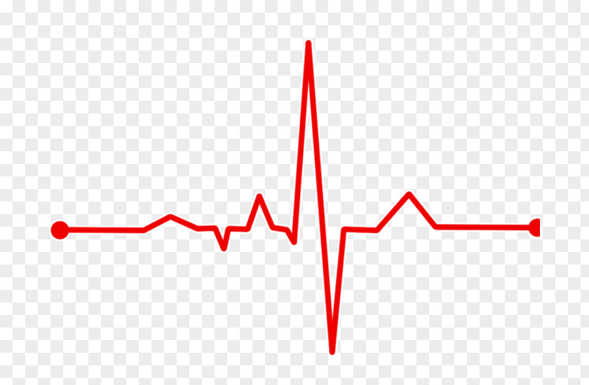 Heart Electrocardiography Pulse Rate Bradycardia PNG