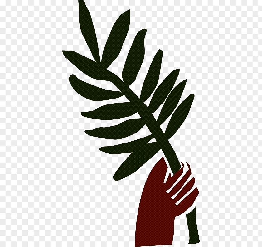 Leaf Plant Tree Flower Hand PNG