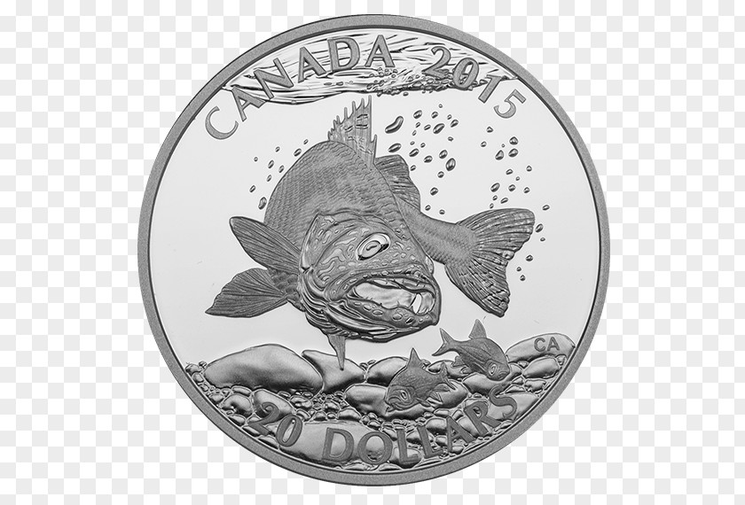 Metal Coin Silver Canada PNG