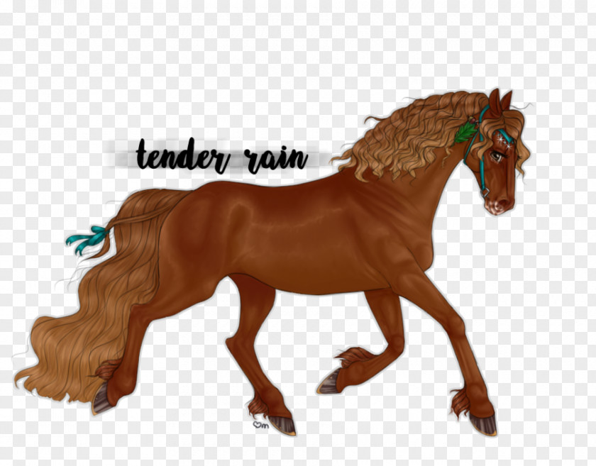 Mustang Stallion Mare Halter Rein PNG