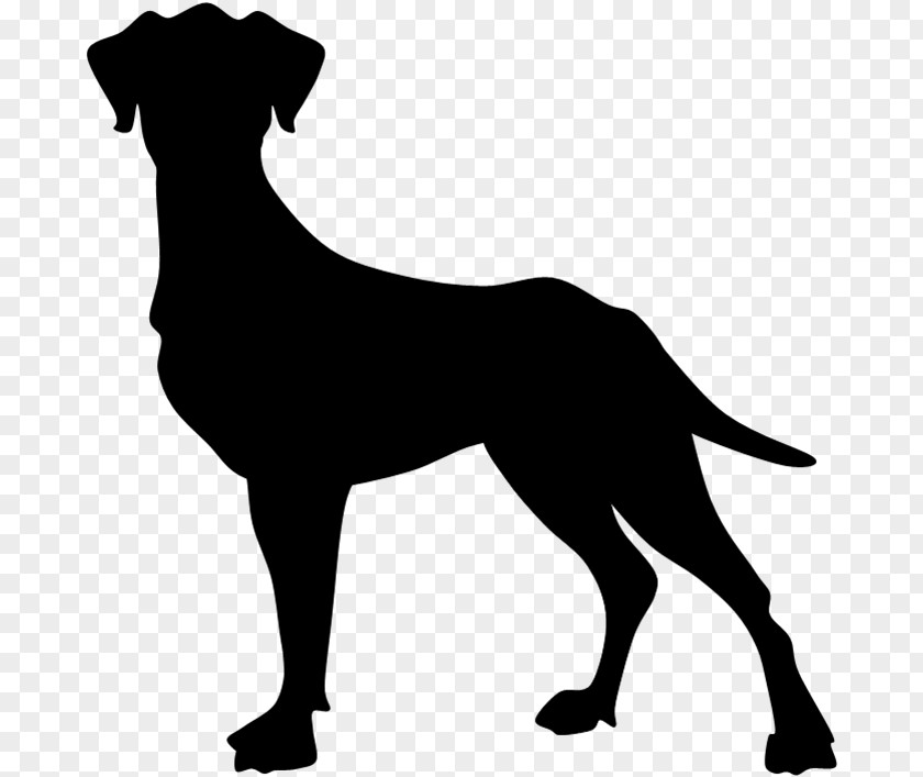 Puppy Dog Breed Sporting Group Black PNG