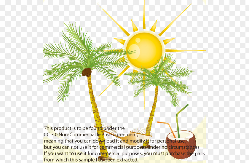 Coco Sun Poster Arecaceae Coconut Euclidean Vector Clip Art PNG