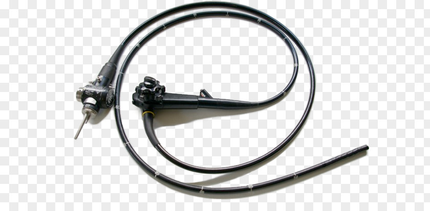 Home Repair Endoscope Olympus Corporation Pentax Medicine Koloskop PNG