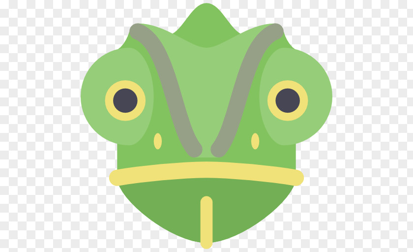 Lizard Chameleons Tree Frog Clip Art PNG